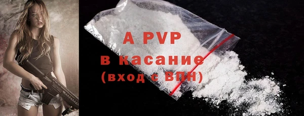 сатива Зерноград