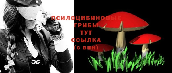 дмт Зеленокумск