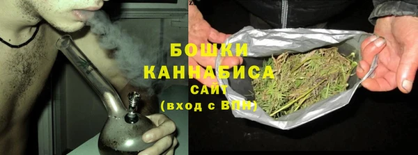 spice Инсар