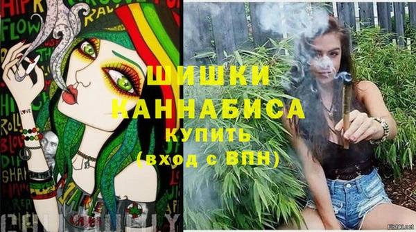стаф Янаул