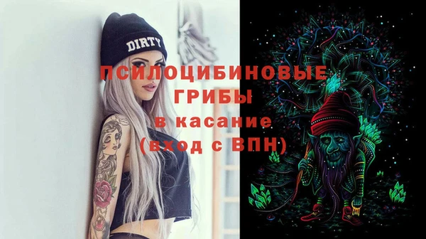 spice Инсар