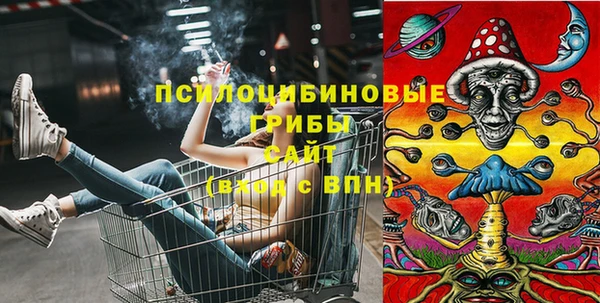 ECSTASY Яранск