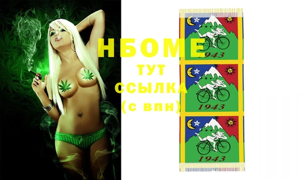 сатива Зерноград
