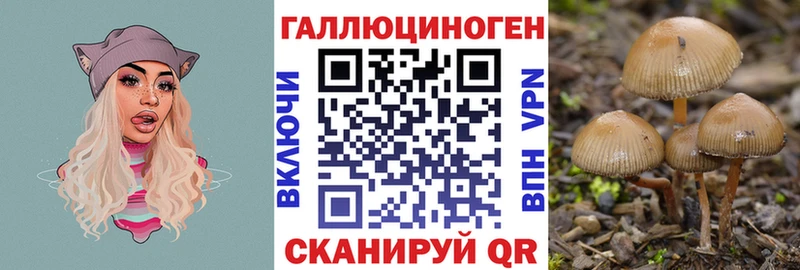 KRAKEN ONION  Печора  Псилоцибиновые грибы прущие грибы  купить наркоту 